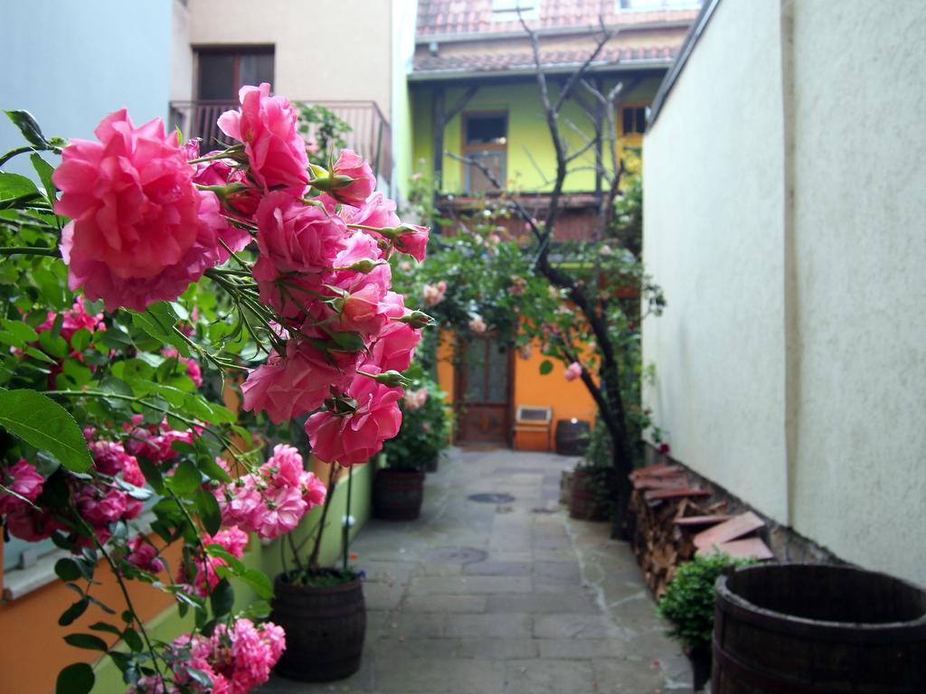 Guest Accommodation Etno Konak Tasana Ni Eksteriør billede